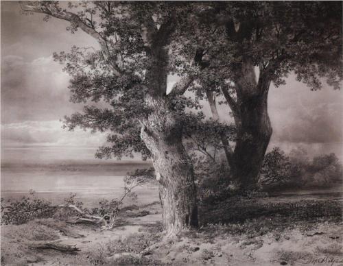 (image for) Handmade oil painting Copy paintings of famous artists Savrasov's Painting, Oaks On The Shore, 1867