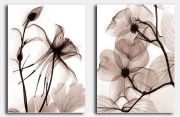(image for) Transparent Flowers Modern Abstract Art on canvas 2 pcs