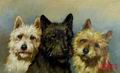 (image for) Animals, Handmade oil painting on Canvas:A0010