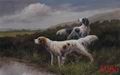 (image for) Animals, Handmade oil painting on Canvas:A0010