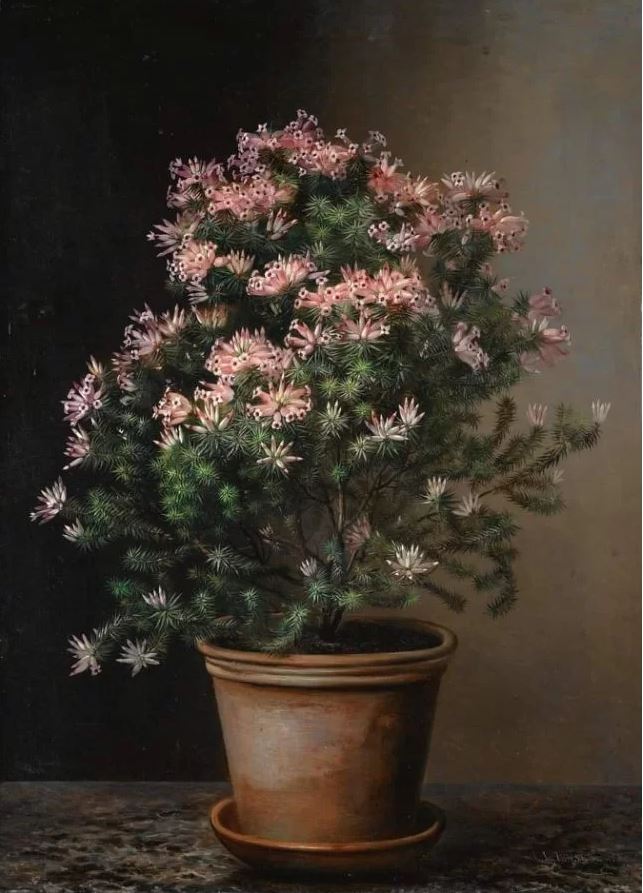 (image for) Reproduction painting of Johan's Flowers in a Terracotta Pot