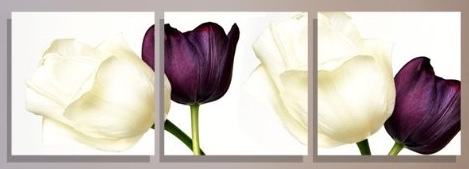 (image for) With Tulip King Modern Abstract Oil Painting Wall Art on canvas