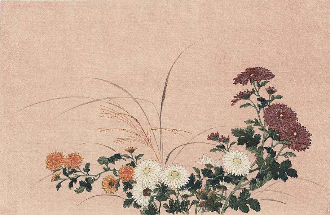 (image for) Classical flower reproduction painting of Chrysanthemums