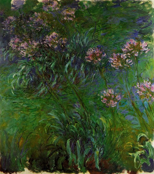 (image for) Handmade oil painting Copy paintings of famous artists Claude Oscar Monet paintings artwork Agapanathus - Click Image to Close