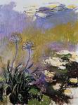 (image for) Handmade Oil painting for home canvas, oil painting framed canvas for living room Claude Oscar Monet paintings artwork Agapanthus2