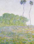 (image for) Handmade oil painting Copy paintings of famous artists Claude Oscar Monet paintings A Meadow At Giverny