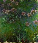 (image for) Handmade Oil painting for home canvas, oil painting framed canvas for living room Claude Oscar Monet paintings artwork Agapanathus
