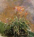 (image for) Handmade Oil painting for home canvas, oil painting framed canvas for living room Claude Monet Paintings Hamerocallis 1914-1917