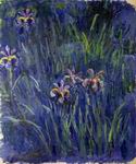 (image for) Handmade Oil painting for home canvas, oil painting framed canvas for living room Claude Monet Paintings artwork Irises2 1914-1917