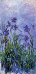 (image for) Handmade Oil painting for home canvas, oil painting framed canvas for living room Claude Monet Paintings Lilac Irises 1914-1917