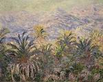 (image for) Claude Monet Paintings artwork Palm Trees at Bordighera 1884