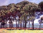 (image for) Claude Monet Paintings artwork Pine Trees Cap dAntibes 1888