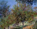 (image for) Claude Monet Paintings Apple Trees On The Chantemesle Hill