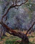 (image for) Handmade oil painting Copy paintings of famous artists Study of Olive Trees 1884