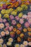 Claude Oscar Monet paintings artwork Bed Of Chrysanthemums